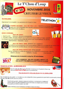 T&rsquo;chou d&rsquo;Loup N°10