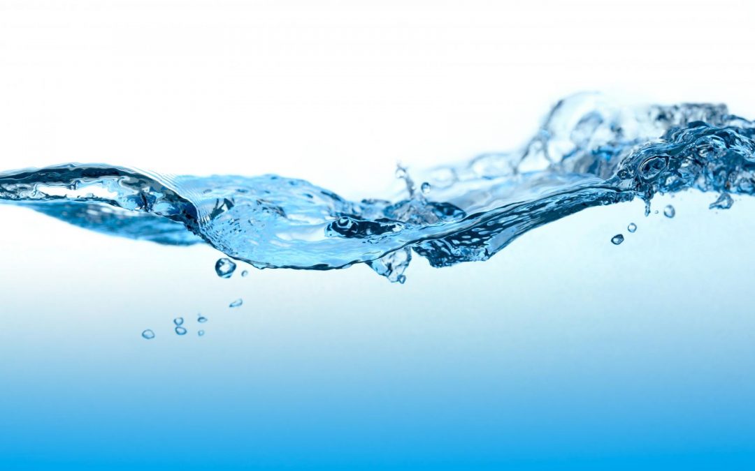 Conférence « la mémoire de l’eau »
